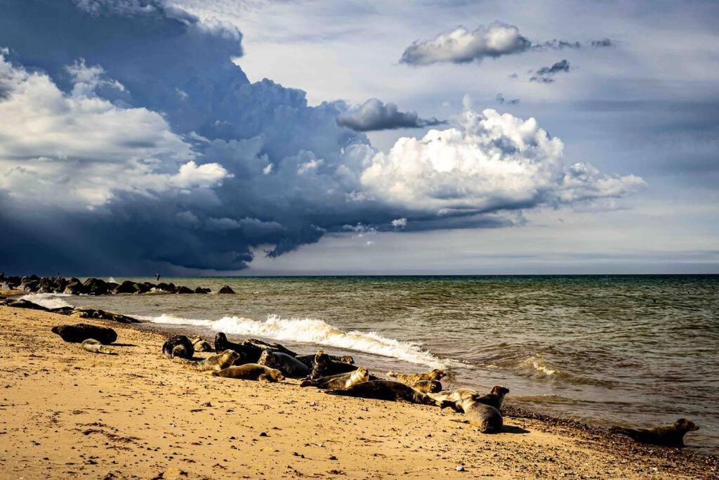 The Beach Hut Scratby Екстер'єр фото